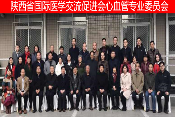 图片1_副本.png