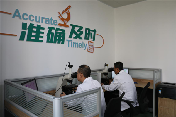 图片6.png