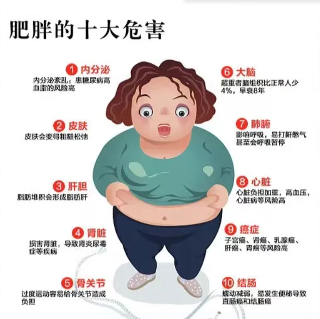 QQ截图20240513101827.png