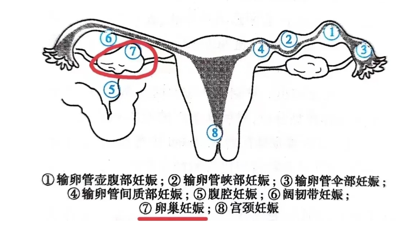微信截图_20240722114420.png
