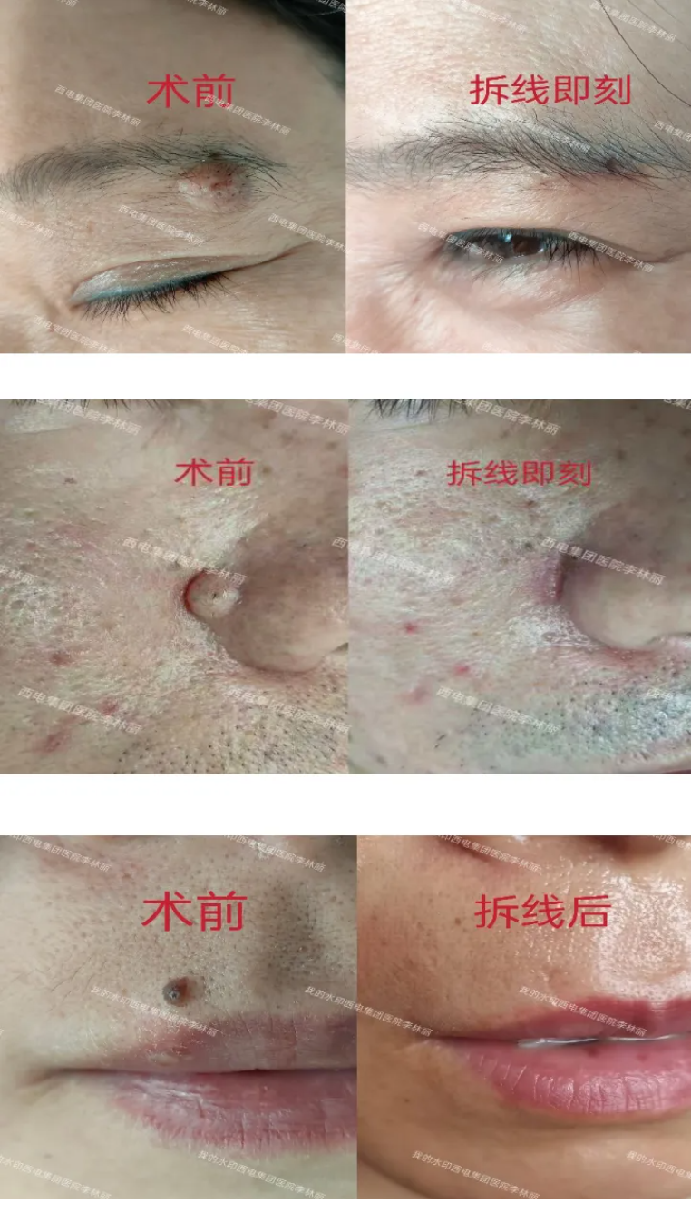 QQ截图20240920103658.png