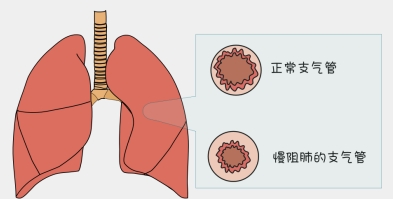 微信截图_20241119143327.png