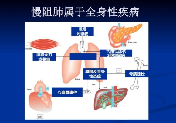 微信截图_20241119143317.png
